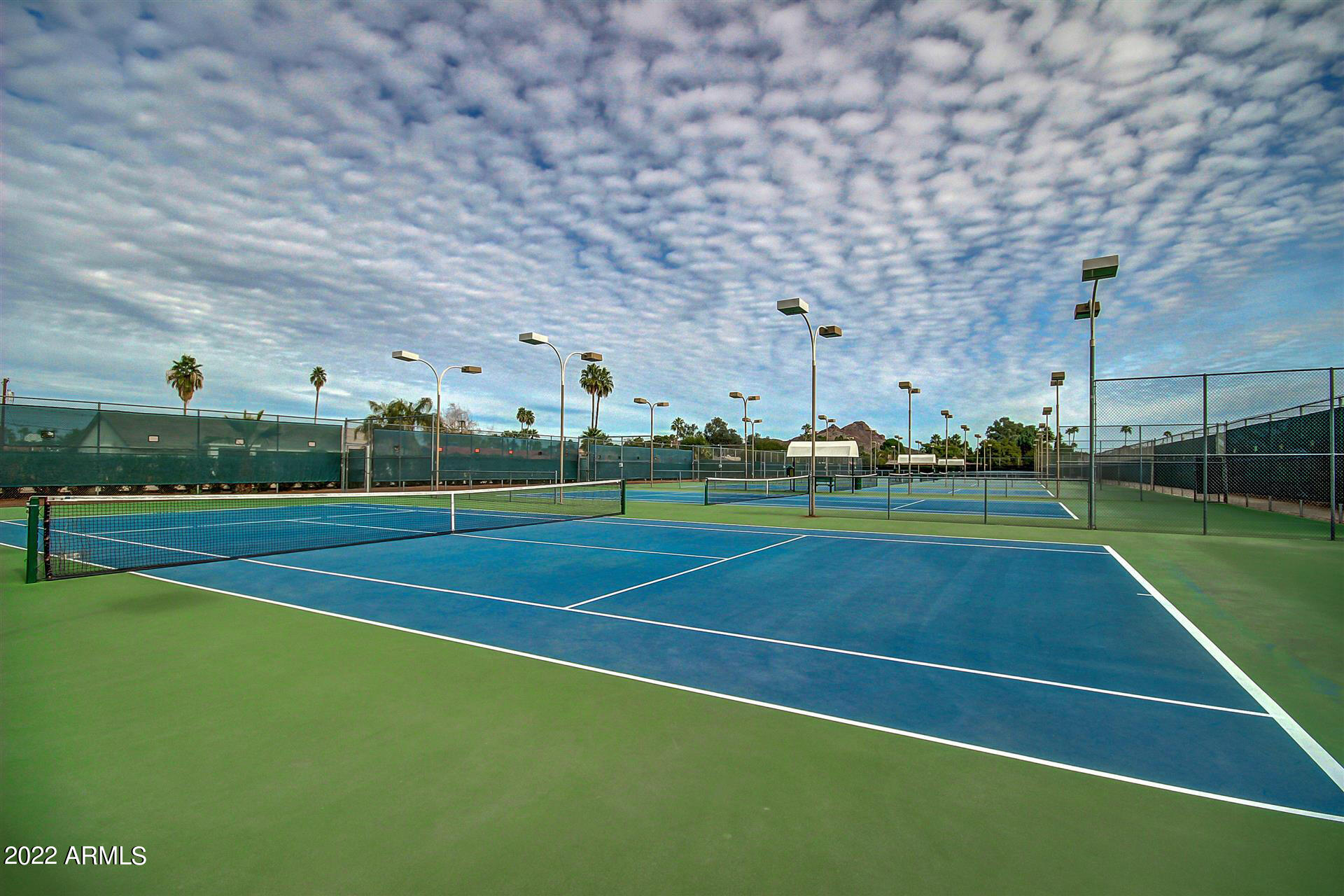 2439 West Hearn Road Phoenix, AZ 85023 - Photo 60 of 66 Moon Valley Tennis Court