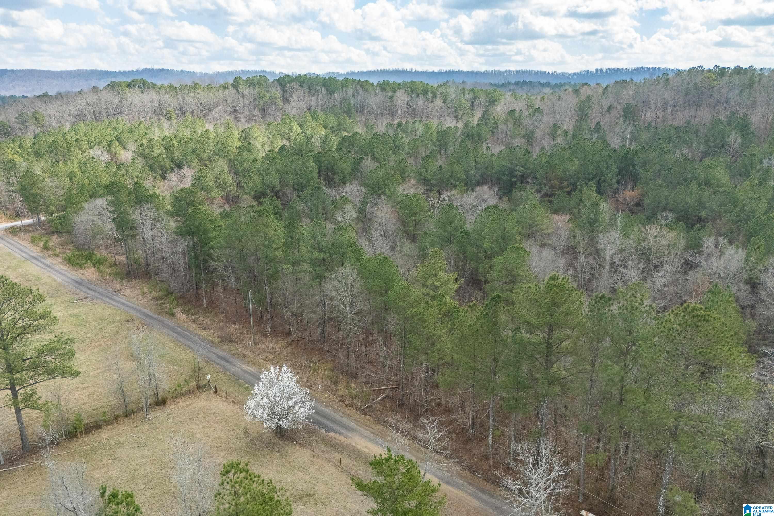 7 Fisher Phillips, Unit 7 Ashville, AL 35953 - Photo 9 of 28
