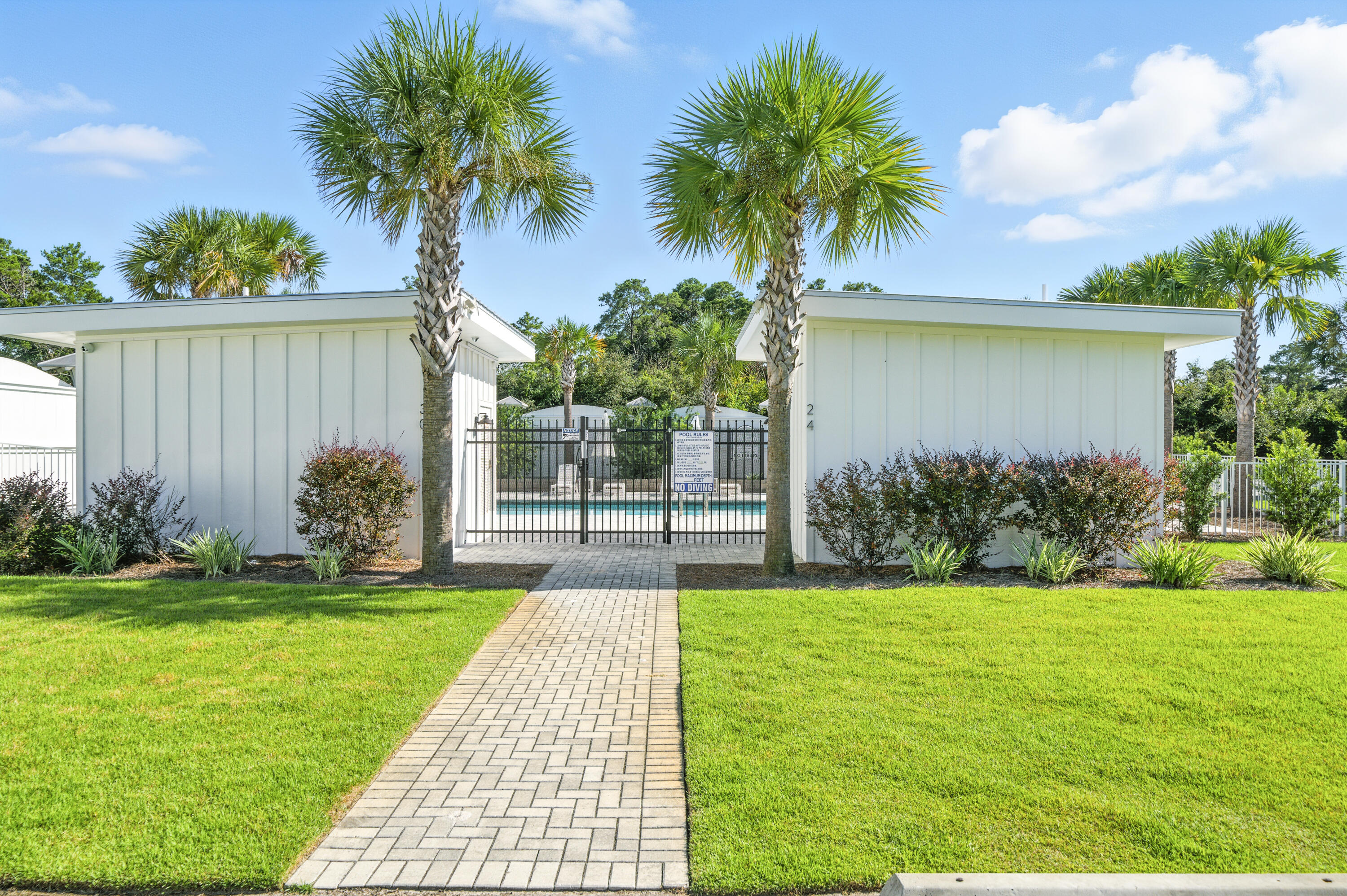 97 Beach View Drive Inlet Beach, FL 32461 - Photo 48 of 57 a view of a backyard with plants and palm tree
