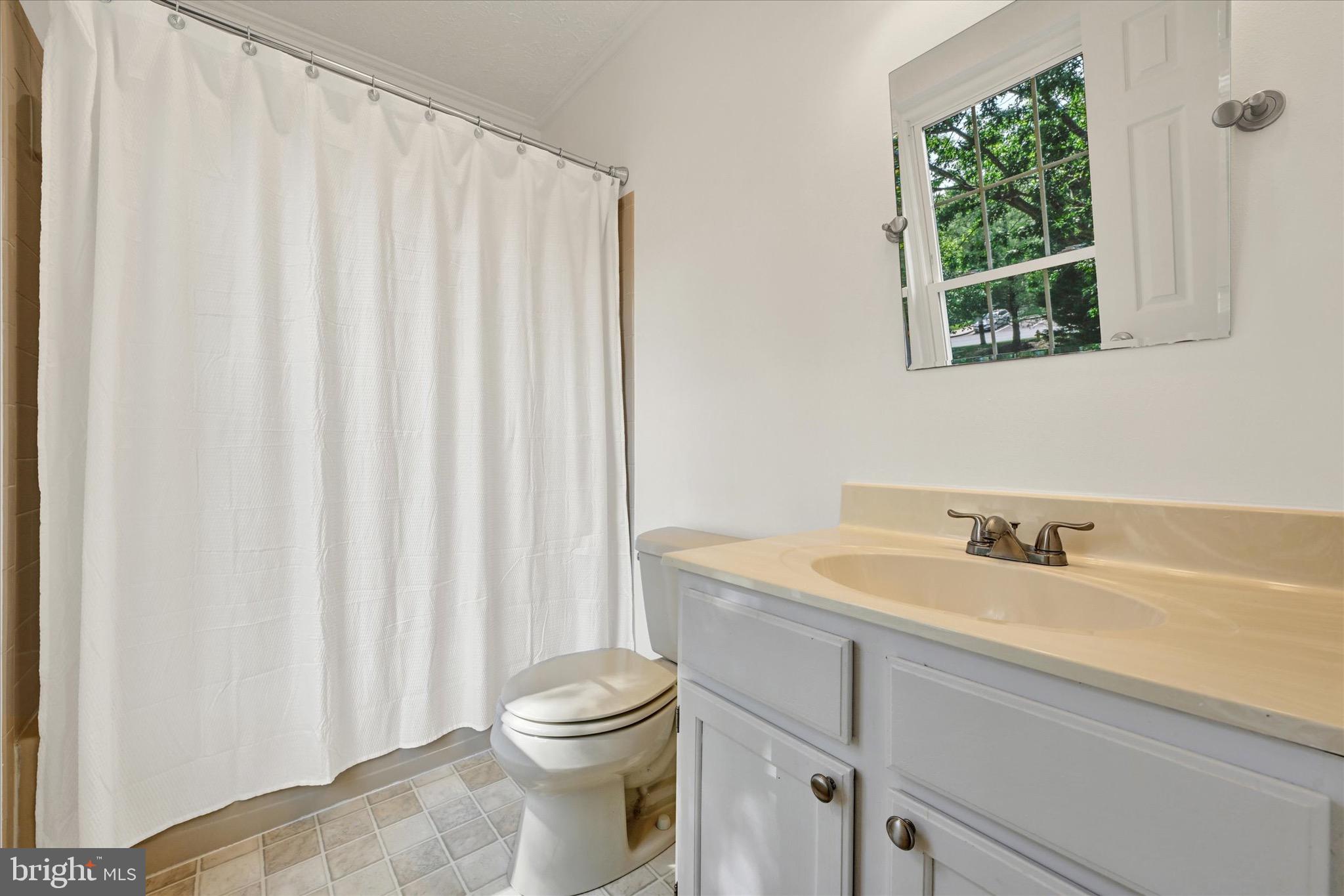 6119 Starburn Path Columbia, MD 21045 - Photo 19 of 28 a bathroom with a sink a toilet and a window