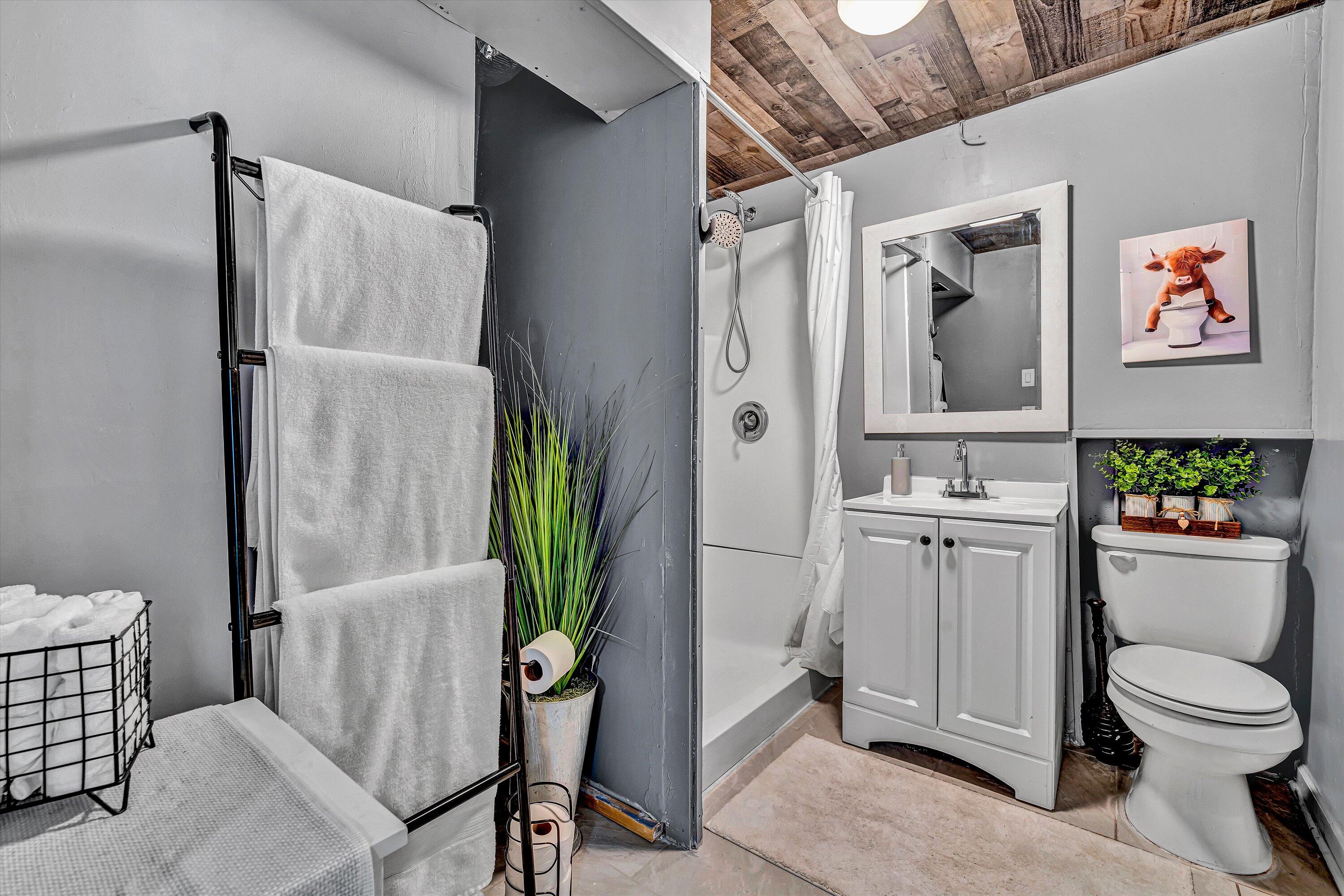 4070 Pitzer Road Roanoke, VA 24014 - Photo 20 of 25 a bathroom with a toilet a sink and a shower