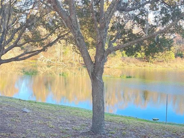 a view of a lake from a yard