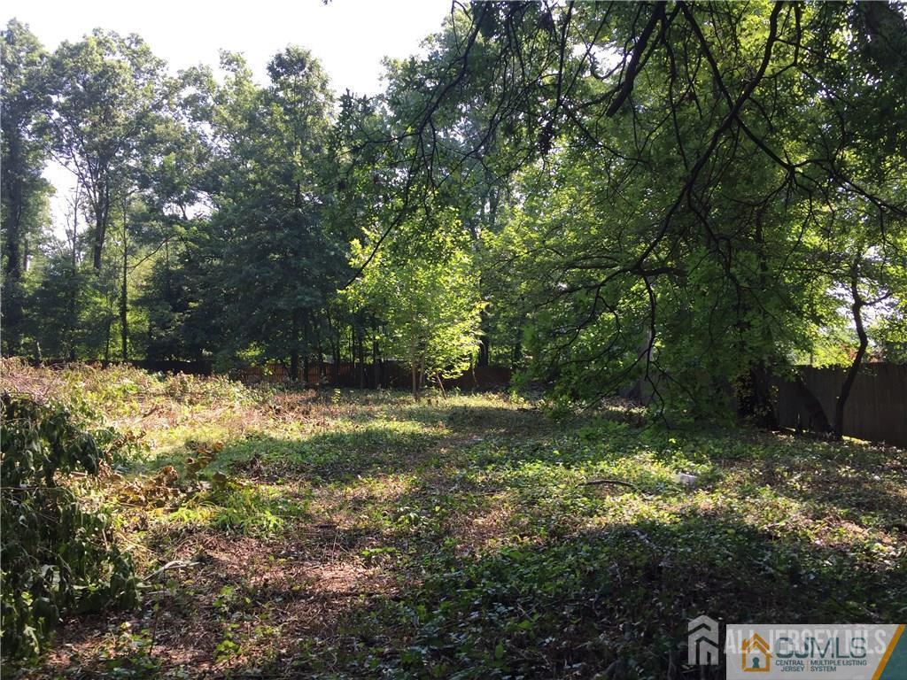 12 Decker Road Flemington, NJ 08822 - Photo 2 of 2