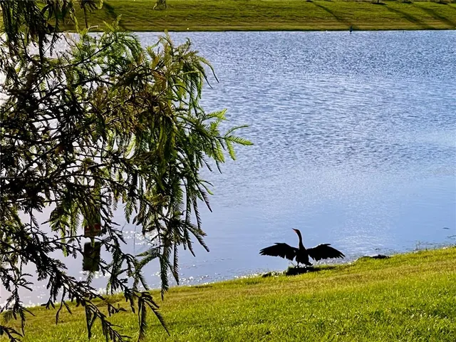 a view of an outdoor space and swimming pool