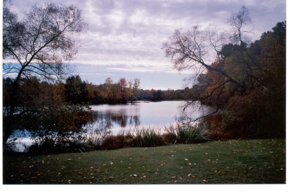 Spring Lake East Stroudsburg, PA 18301 - Photo 2 of 2 a view of a lake from a yard
