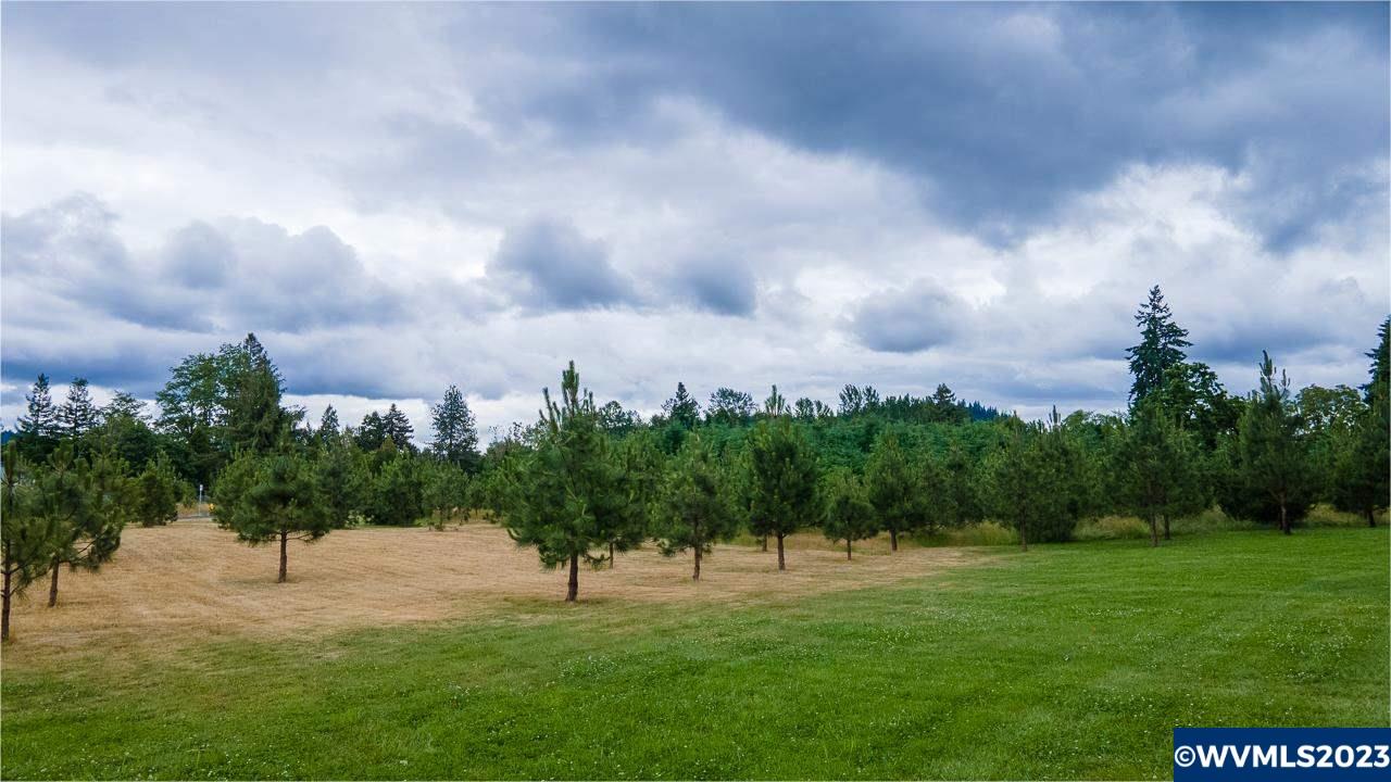 33026 Tennessee Road Southeast Lebanon, OR 97355 - Photo 14 of 23 Gallery Image 14