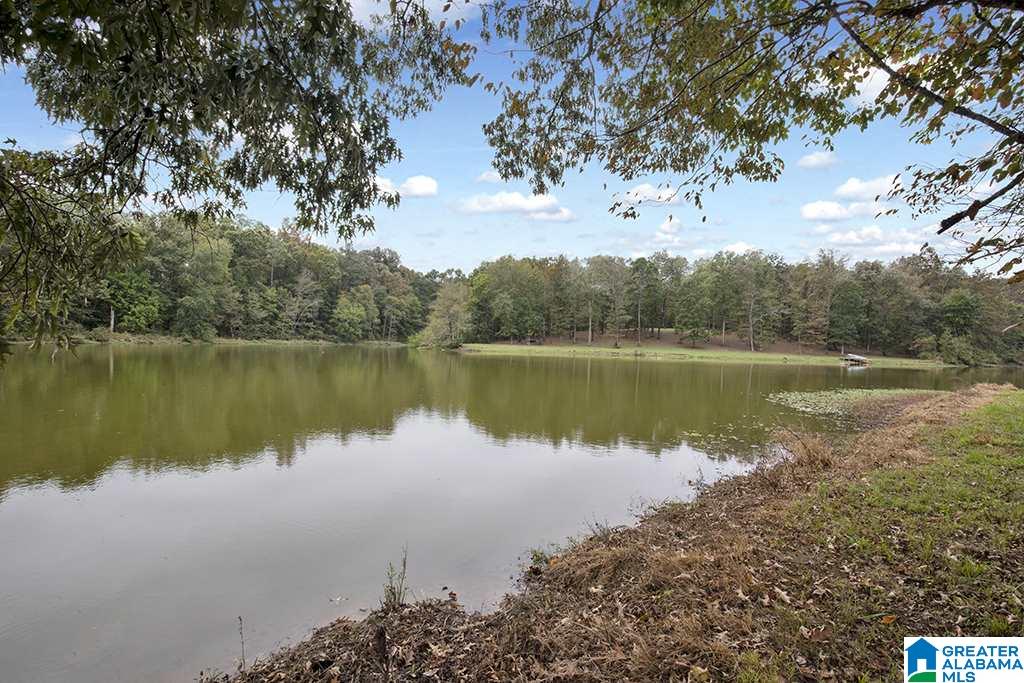 920 Alston Farm Road Columbiana, AL 35051 - Photo 46 of 50