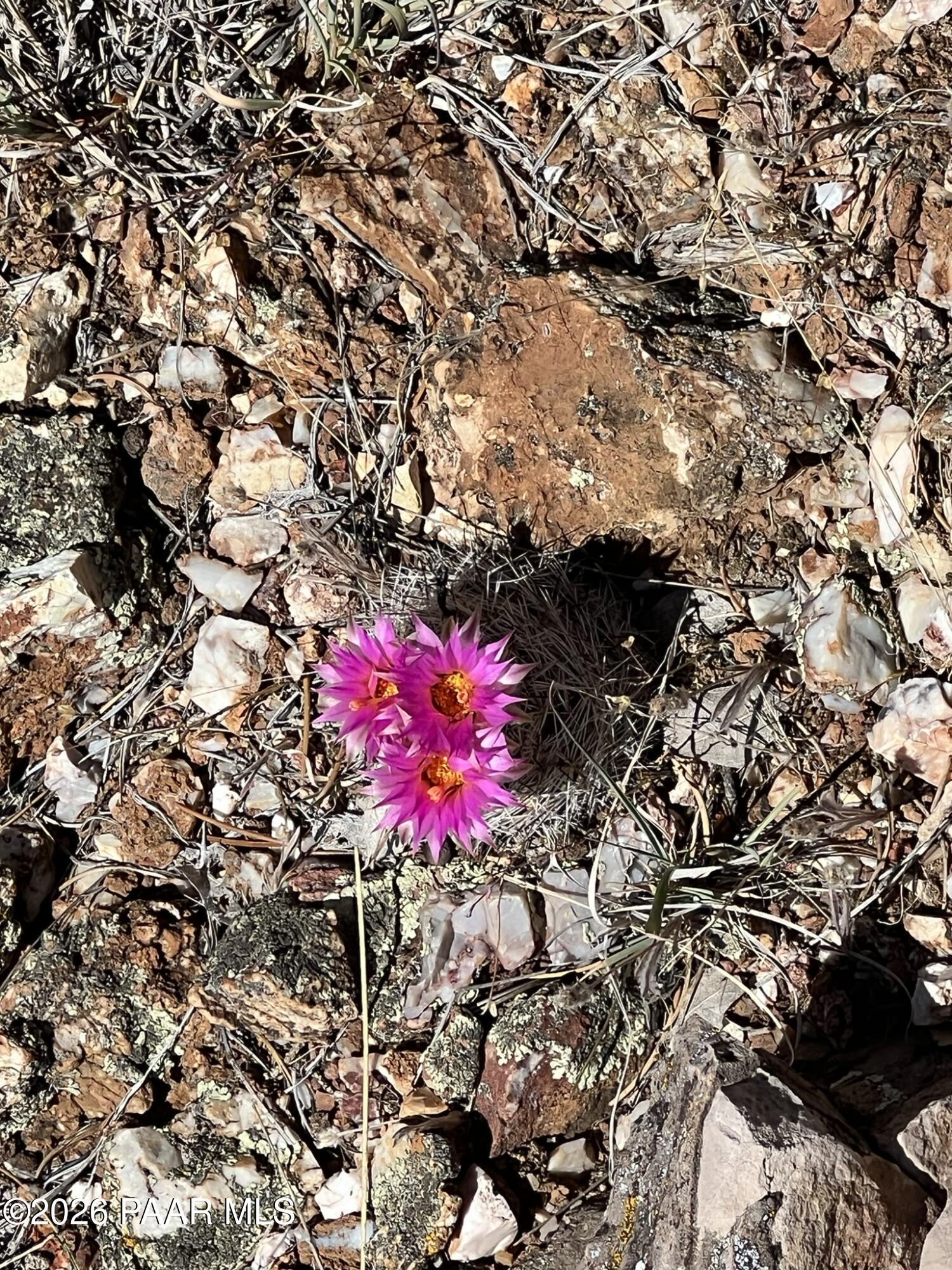 201 Cathedral Valley Road Ash Fork, AZ 86320 - Photo 7 of 9 IMG_0101