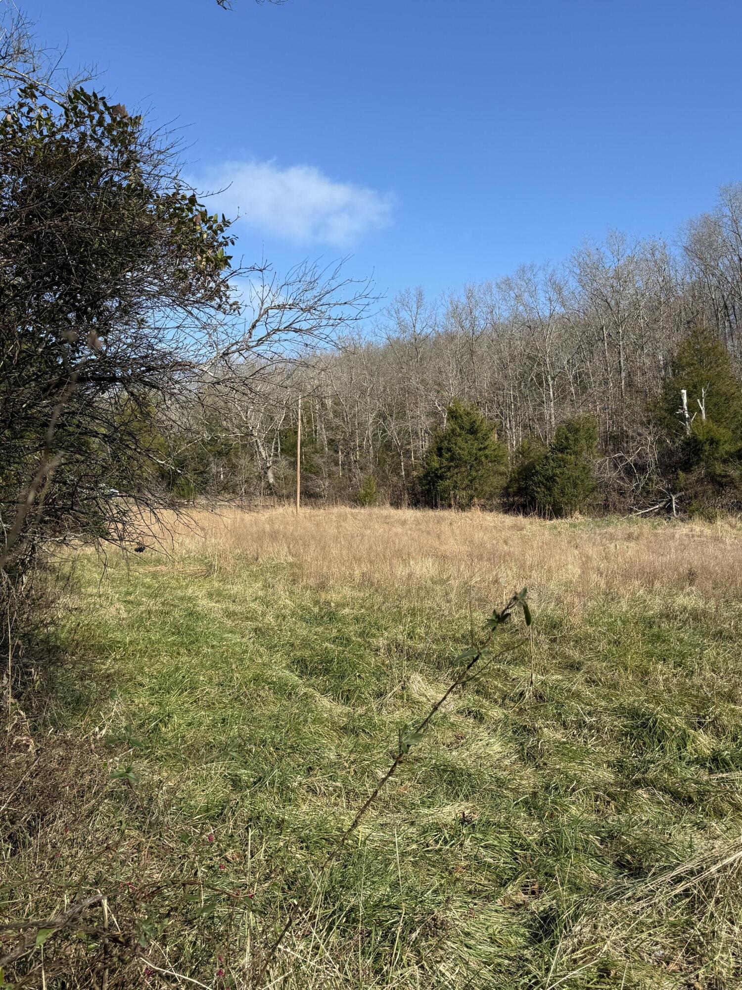0 Varvel Road Willow Springs, MO 65793 - Photo 7 of 62 IMG_0823