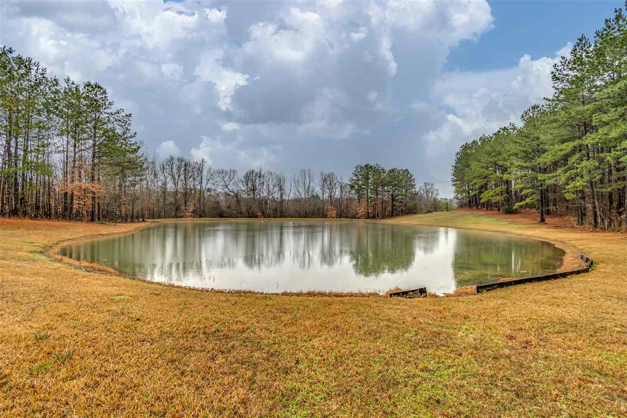 347 Rankin Road Brandon, MS 39042 - Photo 6 of 50 Photo 6