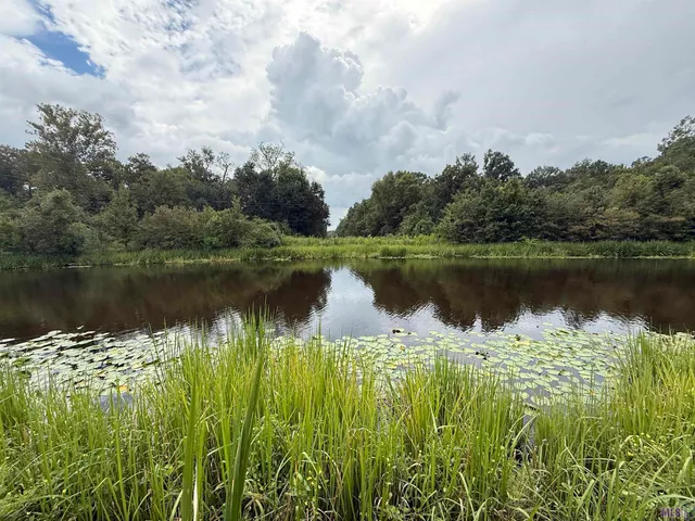 $199,000 | 6-z-1-e Pertuis Road, St. Amant, LA 70774