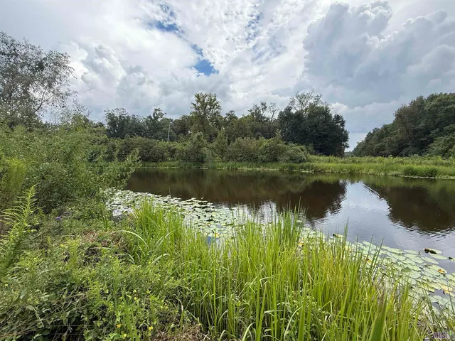 $199,000 | 6-z-1-e Pertuis Road, St. Amant, LA 70774
