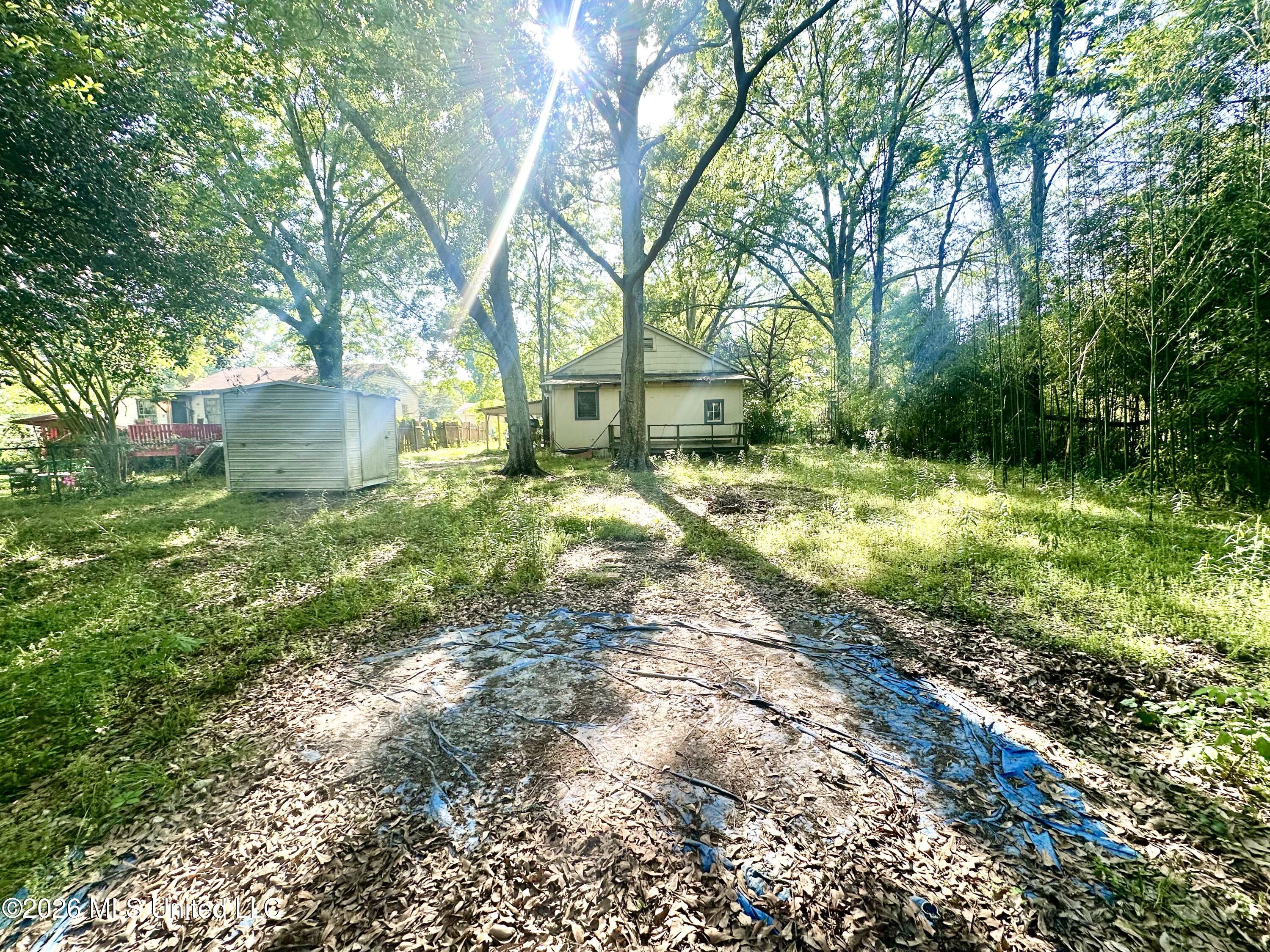 818 North Jackson Street Brookhaven, MS 39601 - Photo 17 of 19 large backyard