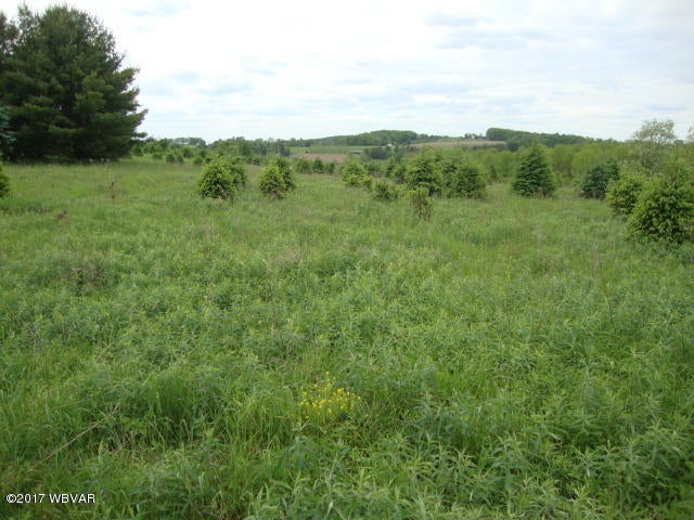 97 Mitchell Road Benton, PA 17814 - Photo 10 of 23 Property View