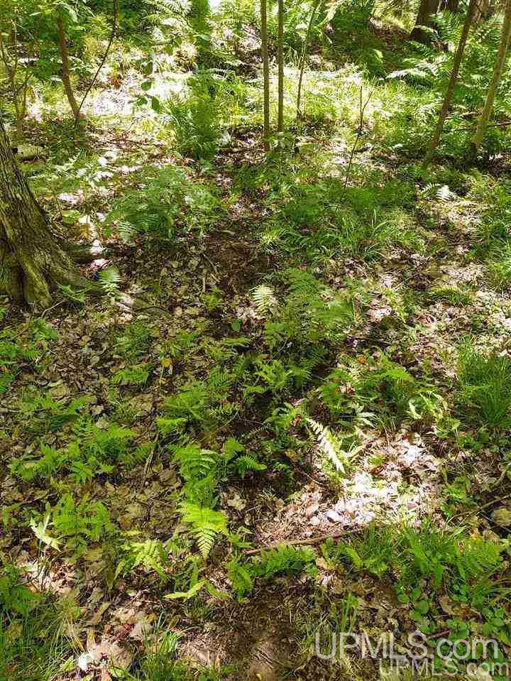 Tbd Tbd Indian Cemetery Road Lanse, MI 49946 - Photo 37 of 40