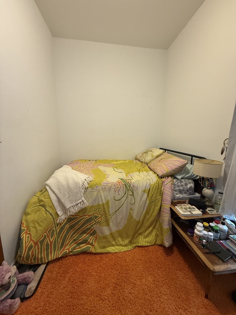 12 West Chestnut Street, Unit 2 Chicago, IL 60610 - Photo 3 of 23