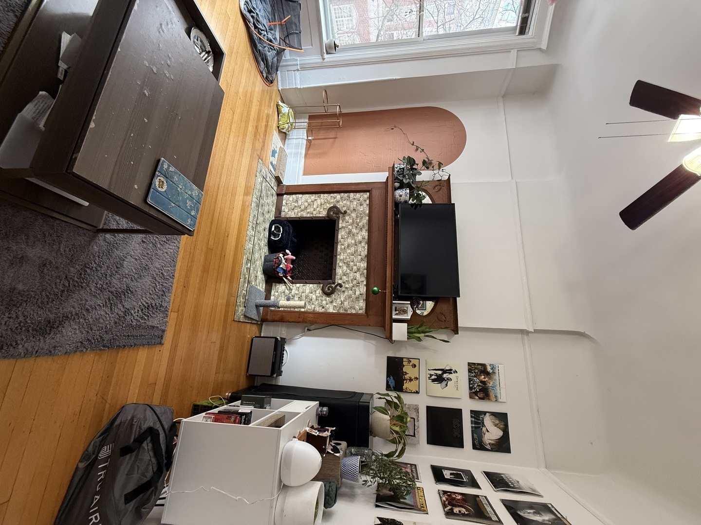 12 West Chestnut Street, Unit 2 Chicago, IL 60610 - Photo 8 of 23