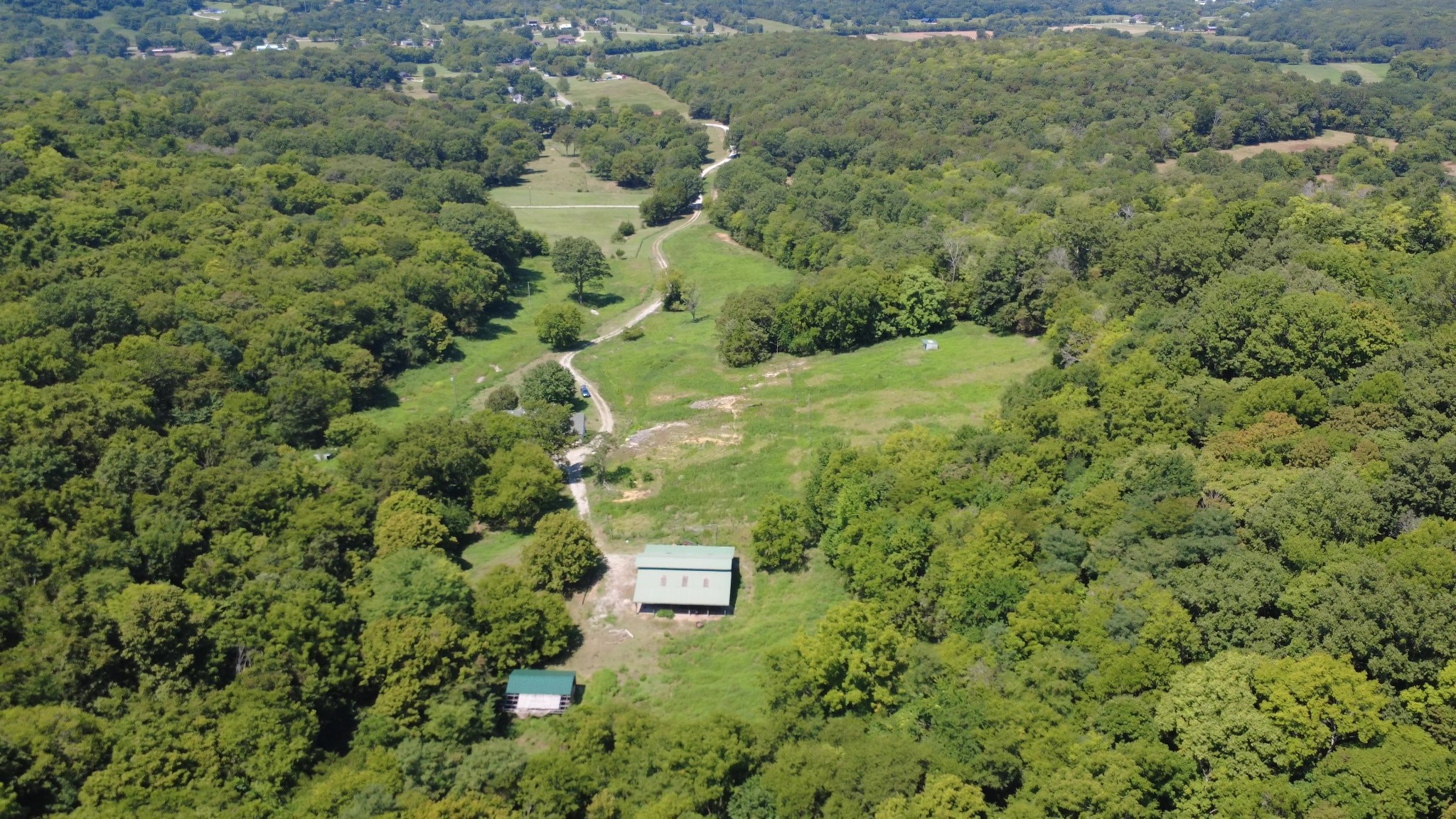 a view of a forest with a street