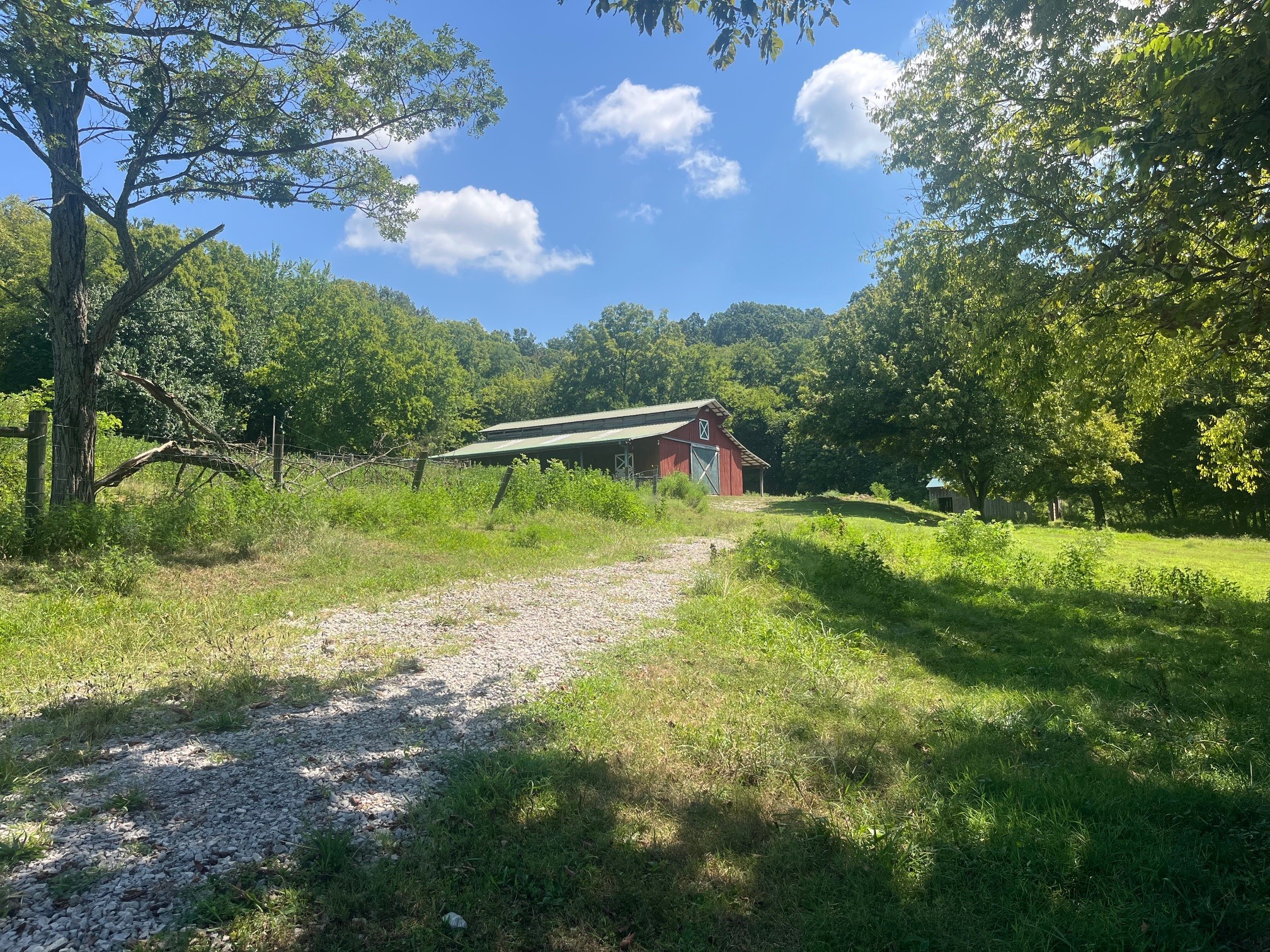 1450 Donna Road Lewisburg, TN 37091 - Photo 25 of 33 a backyard of a house with lots of green space
