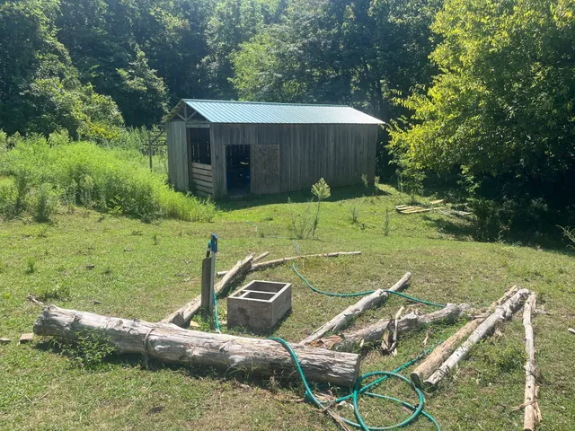 a view of a garden with a tree