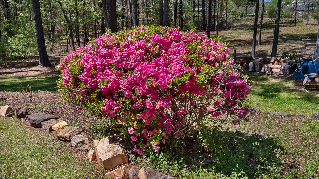 1540 James Road Fortson, GA 31808 - Photo 38 of 56 Gallery Image 38
