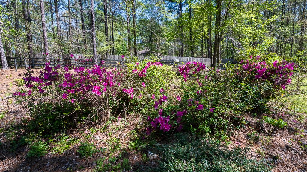 1540 James Road Fortson, GA 31808 - Photo 39 of 56 Gallery Image 39