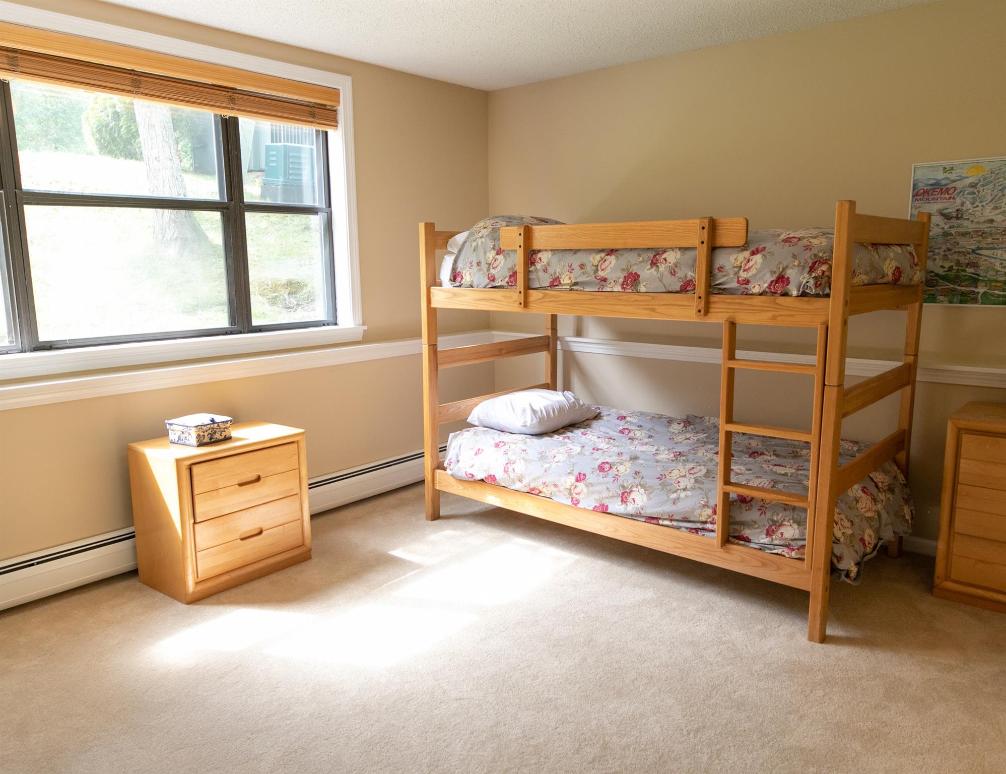 46 Fowler Road, Unit O101 Ludlow, VT 05149 - Photo 23 of 28 Gallery Image 23