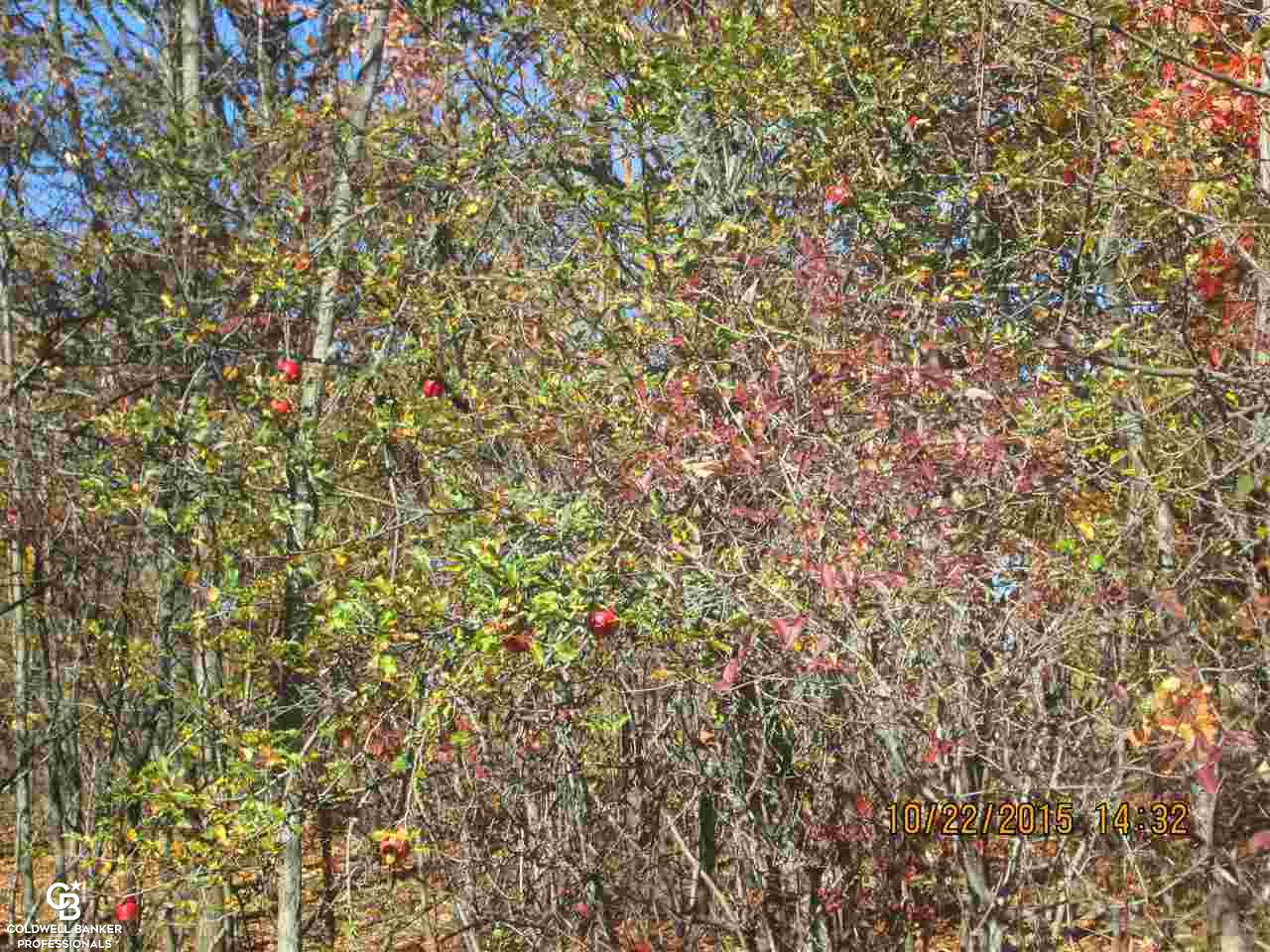 0 Meskill Road Richmond, MI 48062 - Photo 4 of 16