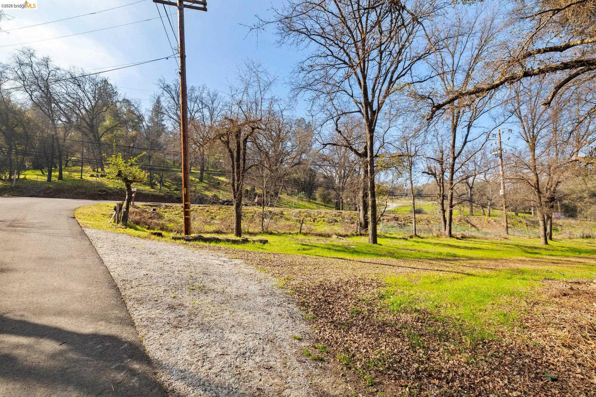 13904 Tuolumne Road Sonora, CA 95370 - Photo 28 of 31 a view of a swimming pool with a yard and palm trees