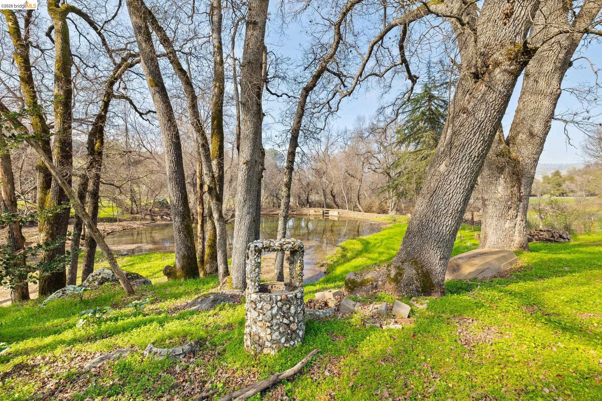 13904 Tuolumne Road Sonora, CA 95370 - Photo 29 of 31 a view of a yard with plants and trees