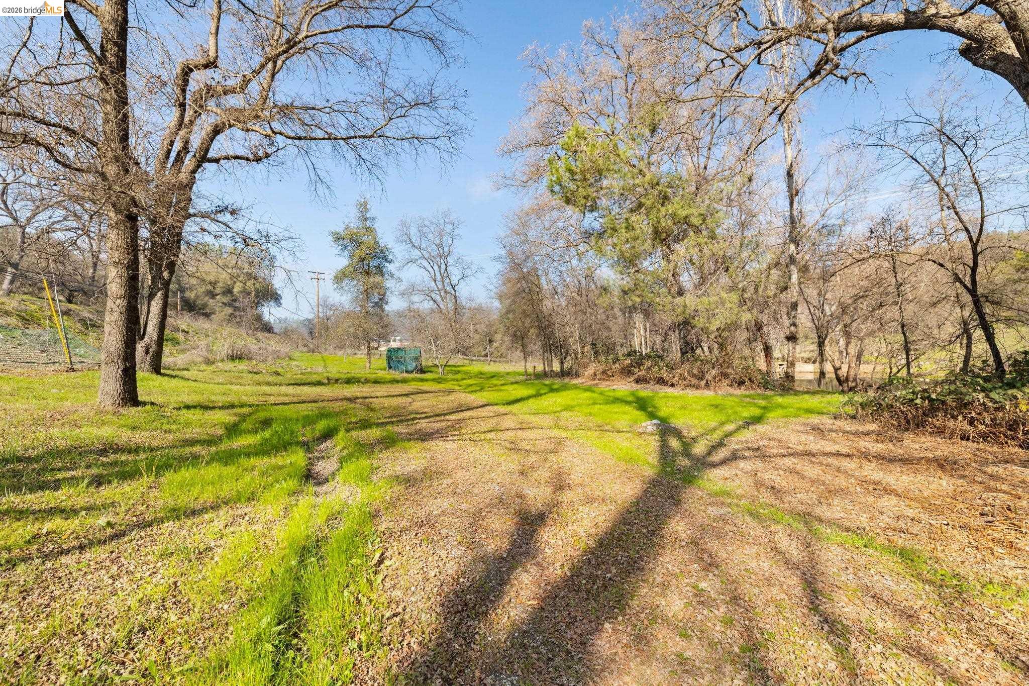 13904 Tuolumne Road Sonora, CA 95370 - Photo 31 of 31 a view of swimming pool and trees