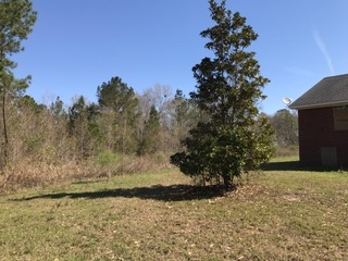 2478 Luke Rivers Road McIntosh, AL 36553 - Photo 5 of 22 Looking to North