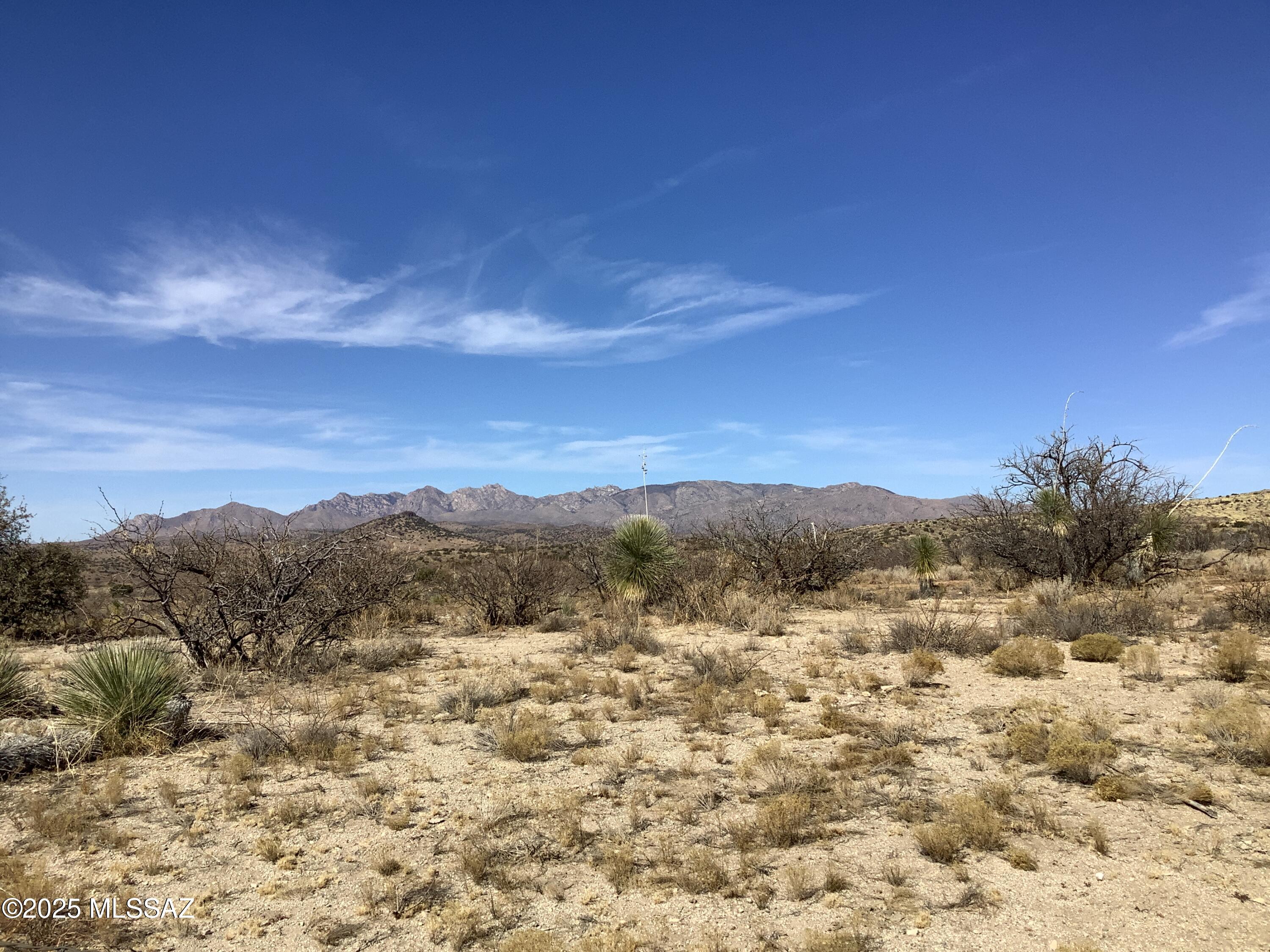 37.21-ac West Sheepwash Road, Unit 254 Willcox, AZ 85643 - Photo 12 of 37