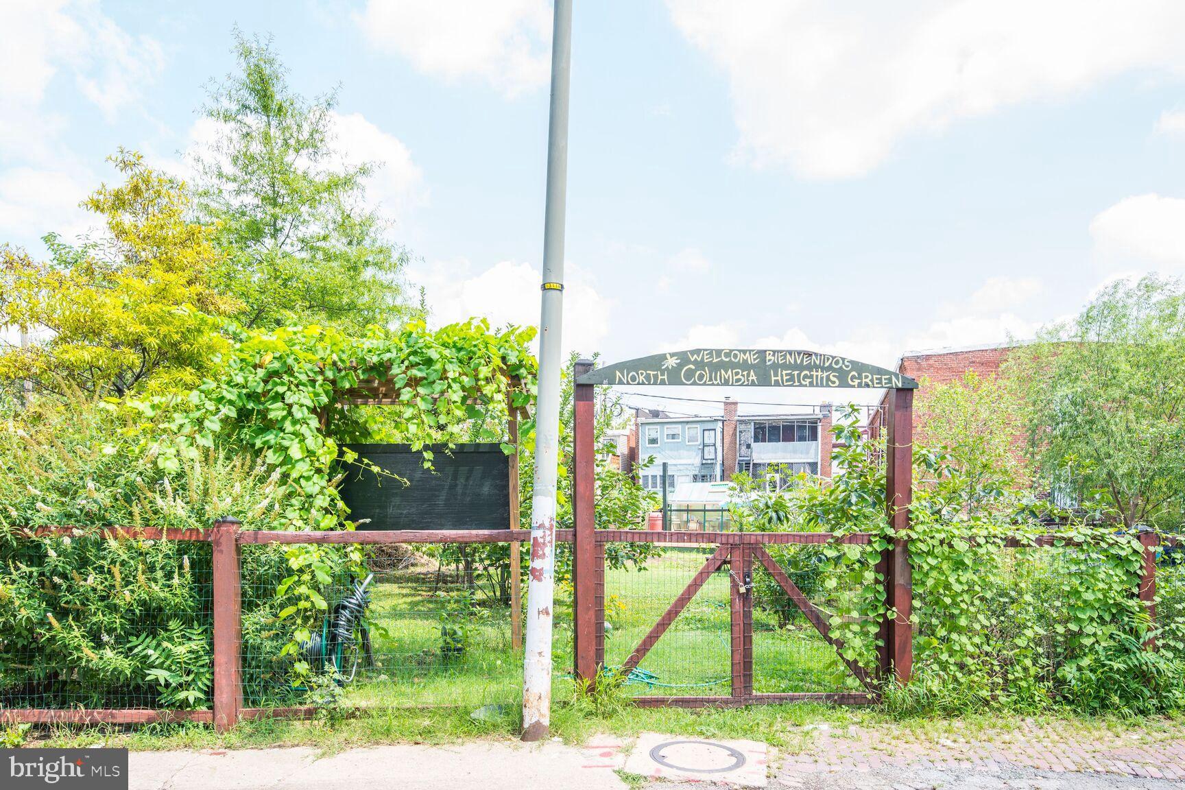 4017 14th Street Northwest Washington, DC 20011 - Photo 25 of 25 a front view of a house with a yard