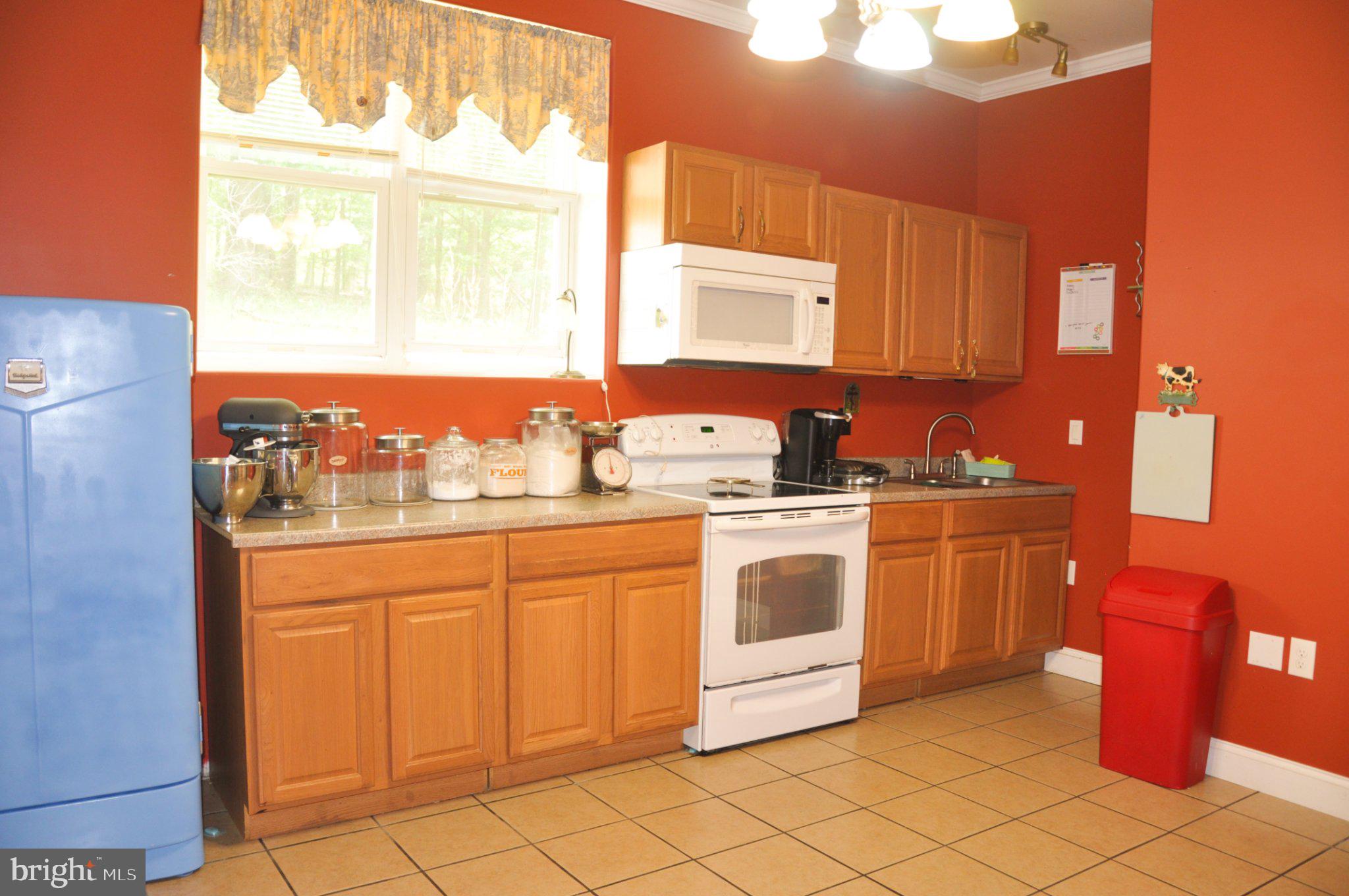 321 Mount Nittany Road Lemont, PA 16851 - Photo 38 of 48 Vibrant kitchen with modern charm.