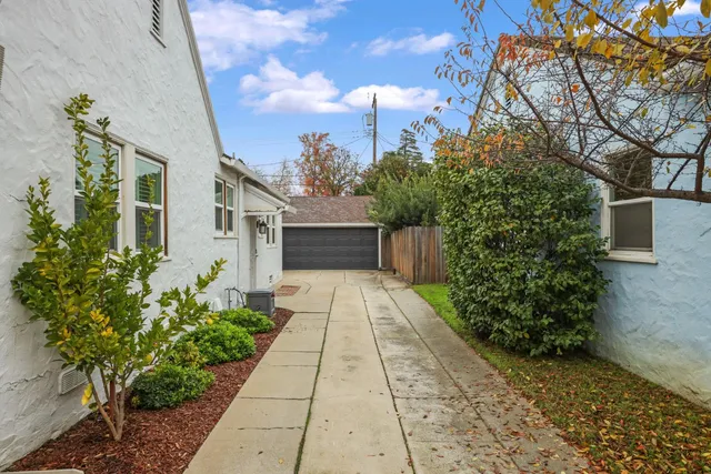 a view of a pathway with flower plants