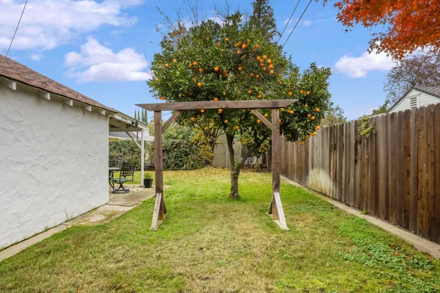 a view of a garden with a slide