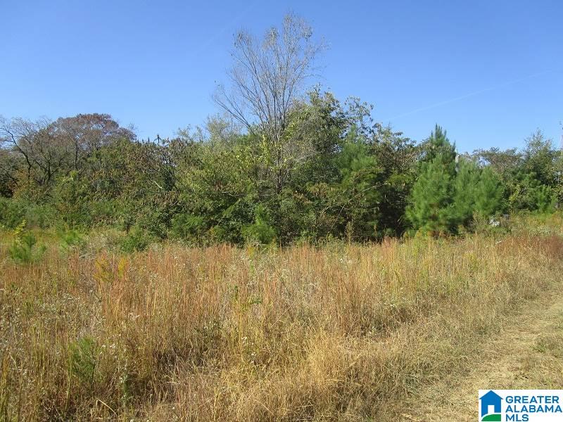2528 Sayers Road Fultondale, AL 35068 - Photo 20 of 21