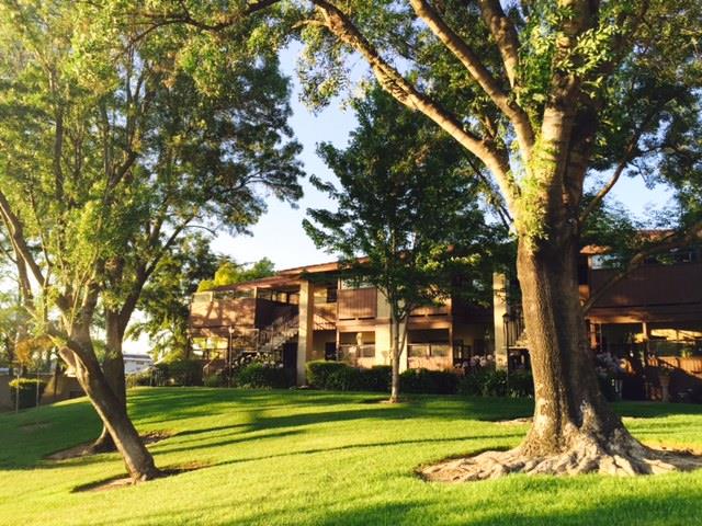 417 Kenbrook Circle San Jose, CA 95111 - Photo 20 of 22 a view of a swimming pool with a big yard and large trees