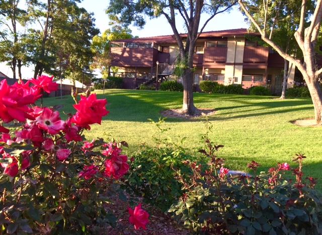 417 Kenbrook Circle San Jose, CA 95111 - Photo 3 of 22 a front view of a house with a yard and fountain in middle of the road
