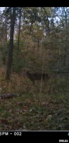 $90,000 | 8206 Eakin Grove Road, Benton, IL 62812