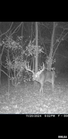 $90,000 | 8206 Eakin Grove Road, Benton, IL 62812