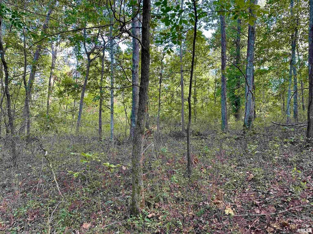 $90,000 | 8206 Eakin Grove Road, Benton, IL 62812