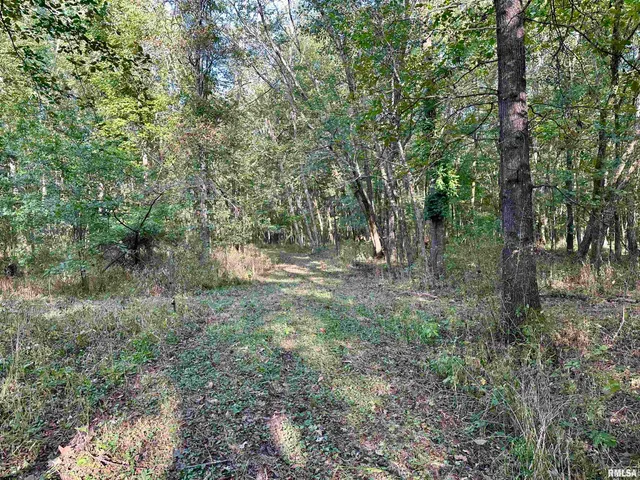 $90,000 | 8206 Eakin Grove Road, Benton, IL 62812