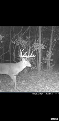 $90,000 | 8206 Eakin Grove Road, Benton, IL 62812