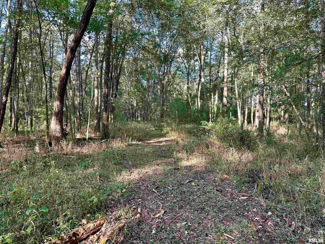 $90,000 | 8206 Eakin Grove Road, Benton, IL 62812