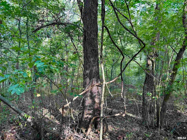 $90,000 | 8206 Eakin Grove Road, Benton, IL 62812