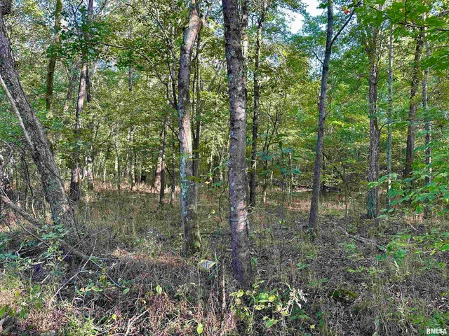 $90,000 | 8206 Eakin Grove Road, Benton, IL 62812