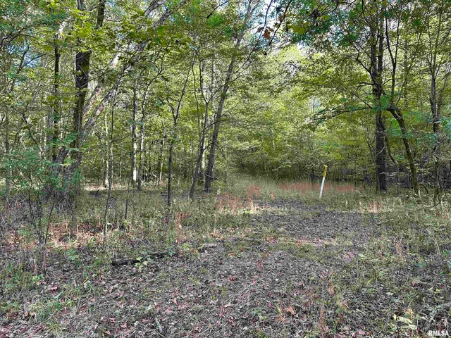 $90,000 | 8206 Eakin Grove Road, Benton, IL 62812