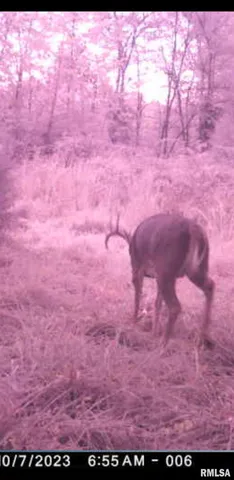 $90,000 | 8206 Eakin Grove Road, Benton, IL 62812